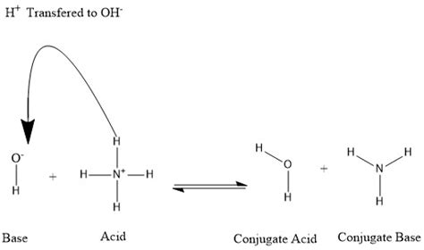 Difference Between Conjugate Acid and Conjugate Base | Compare the Difference Between Similar Terms