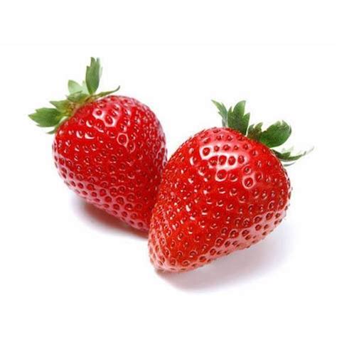 Strawberry Varieties - Day-Neutral - Lassen Canyon Nursery