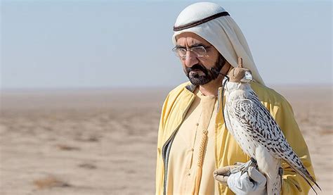 The History of Falconry and How Important It Is to the UAE