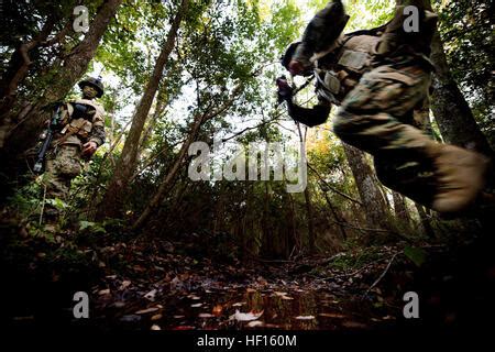 Marines patrol through the forest of Camp Geiger, N.C. during patrol ...