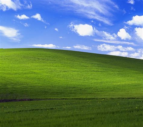 Windows Xp Bliss Windows Computer Simple Background Hd Wallpaper Peakpx ...