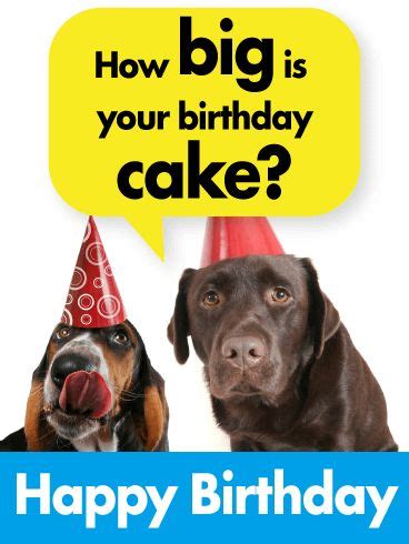 Dogs Love Your Birthday Cake - Funny Birthday Card | Birthday & Greeting Cards by Davia ...