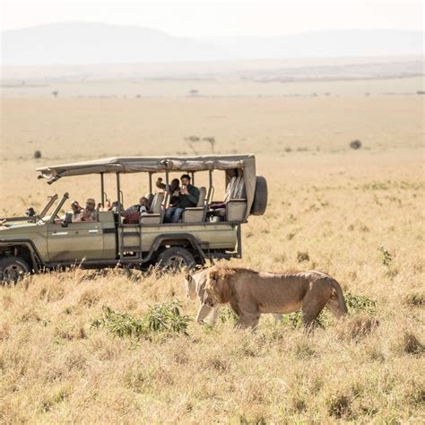 7 days Kenya wildlife safari | Kenya Safaris Tour | Kenya Tours | Kenya