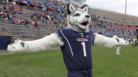 UConn Huskies' new stadium name shortens to 'PAWS ARF' - SBNation.com