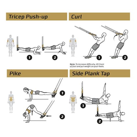 TRX, Suspension Exercise Poster Vol 1 - Laminated – NewMeFitness