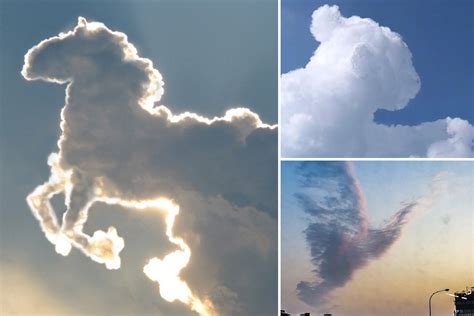 Incredible animal shapes spotted in clouds – but is all as it seems? – The US Sun | The US Sun