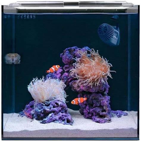 HelloReef Clownfish & Anemone Aquarium Kit : Amazon.co.uk: Pet Supplies