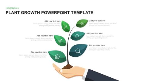 Plant Growth Template for PowerPoint and Keynote Plant growth template ...