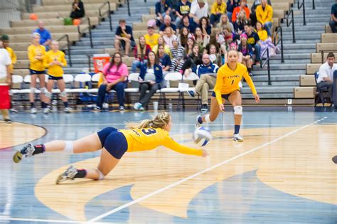 Athletics-Volleyball vs TAMUK-9247.jpg | Texas A&M University-Commerce Marketing Communications ...