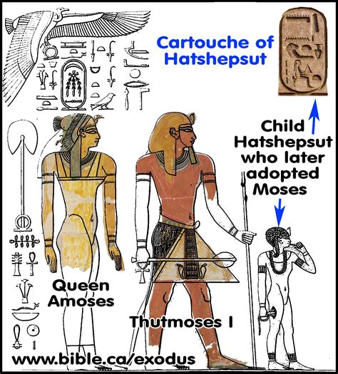 Who was the pharaoh during moses - dealerbro