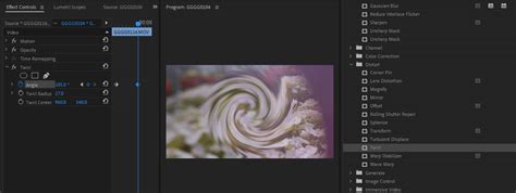 How to Use Effects in Adobe Premiere Pro