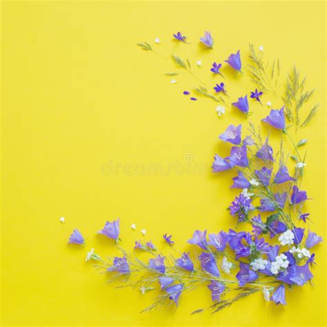 Wild Flowers on Yellow Background Stock Photo - Image of space ...