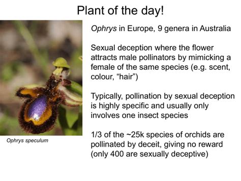 Plant-herbivore coevolution