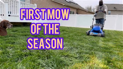 Tall Fescue Lawn Care: First Mow of the Season Tips - YouTube