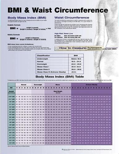 BMI & Waist Circumference Chart : Anatomical Chart Company, Kushner ...