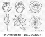 Rose Vector Elements 04 Free Stock Photo - Public Domain Pictures