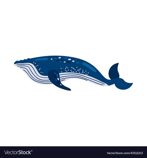 Blue whale sealife Royalty Free Vector Image - VectorStock