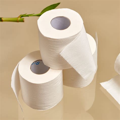 Not All Toilet Paper is Created Equal - Lisa Borden