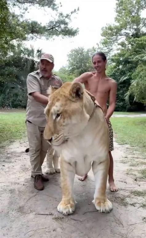 World's biggest cat 'Hercules' amazes zookeeper who gasps 'look at this thing' - Daily Star