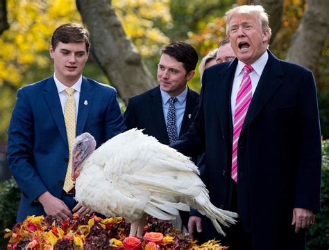 Annual Turkey Pardon Ceremony Held at White House | Malibu, CA Patch