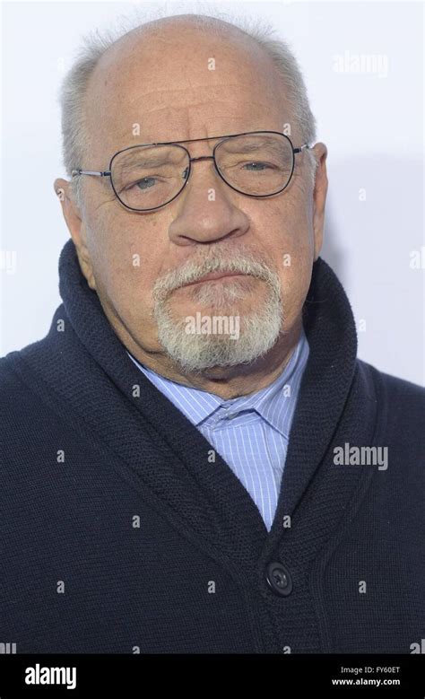 Paul schrader taxi driver hi-res stock photography and images - Alamy