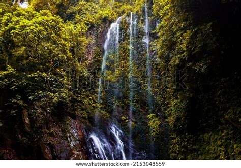 Best Erin Ijesha Waterfall Royalty-Free Images, Stock Photos & Pictures | Shutterstock