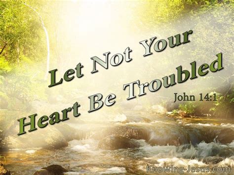 John 1:14 - Verse of the Day