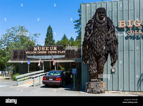 Carving of Bigfoot outside the Bigfoot Museum in Willow Creek Stock Photo: 74853251 - Alamy