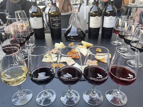 Ultimate Guide to Port Tasting in Porto, Portugal - 2023 Ultimate Guide