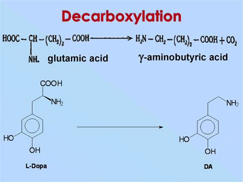 Protein and amino acid metabolism - online presentation