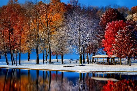 November, colorful, fall, autumn, colors, trees, foliage, mirrored, leaves, nature, HD wallpaper ...