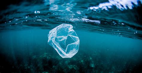 Researchers Reveal Secret to Cleaning up Ocean’s Floating Plastic | Discovery Blog | Discovery