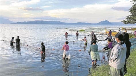 ‘Tawilis Patrol’ joins scientists in effort to save prized Taal fish ...