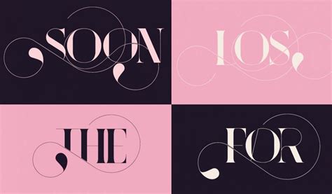 36 Luxurious Fashion Magazine Fonts - only $17!