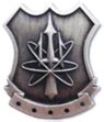 Badges of the United States Navy - Wikipedia