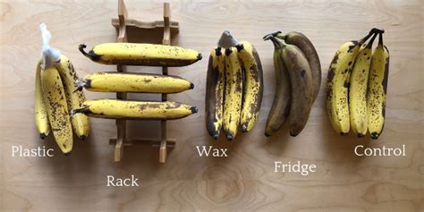 The best way to store bananas