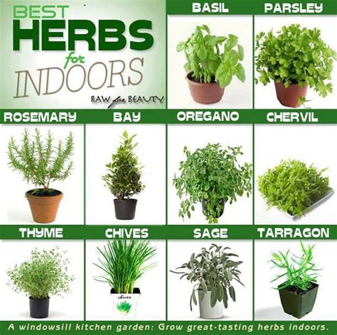 love herbs! great list especially if you live somewhere that snows and ...