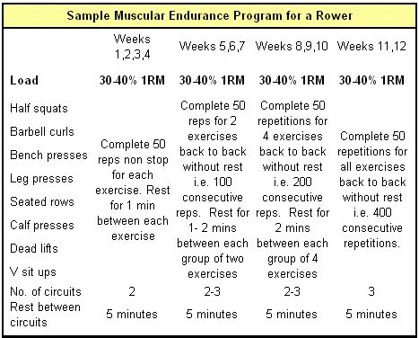 Sample muscular endurance training program for a rower | Muscular endurance, Circuit training ...