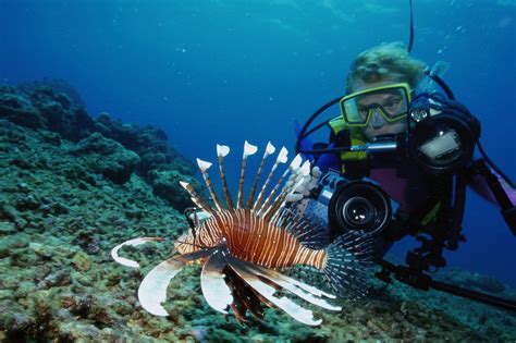 Scuba Diving in Boracay - A Guide to Boracay Diving – Go Guides