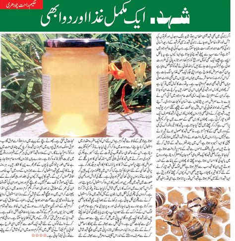 Honey Ke Faide Honey ~ Benefits In Urdu (Faiday, Fawaid, Tareeqa, Tarika, Fazilat) Hindi