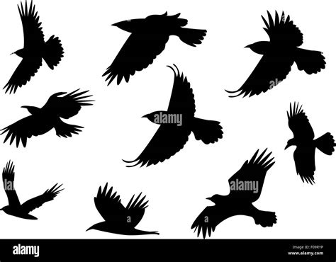 Drawing Flying Crow Silhouette / Vogel silhouette crow silhouette silhouette vector reaper ...