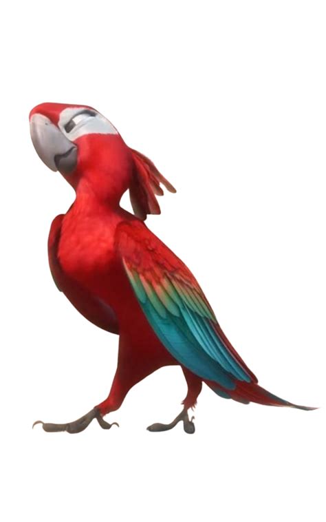 Red macaw by DracoAwesomeness on DeviantArt