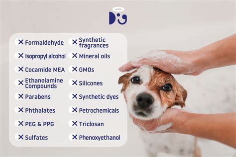 The Most Toxic Ingredients in Dog Shampoo and How to Avoid Them – Doglyness