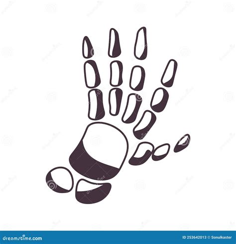 Skeleton Hand, Bones Fingers of Character Vector Stock Vector - Illustration of dead, drawing ...