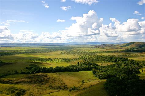 Llanos | One Earth