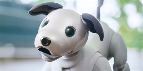 Japan Trend Shop | Sony aibo Robot Dog New ERS-1000 Model