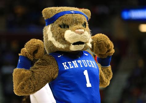 10 New Kentucky Wildcats Mascot Pictures FULL HD 1920×1080 For PC ...