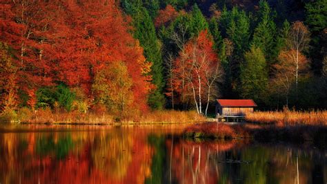 Autumn Scenery Wallpaper 4K, Lakeside, Colourful, Forest