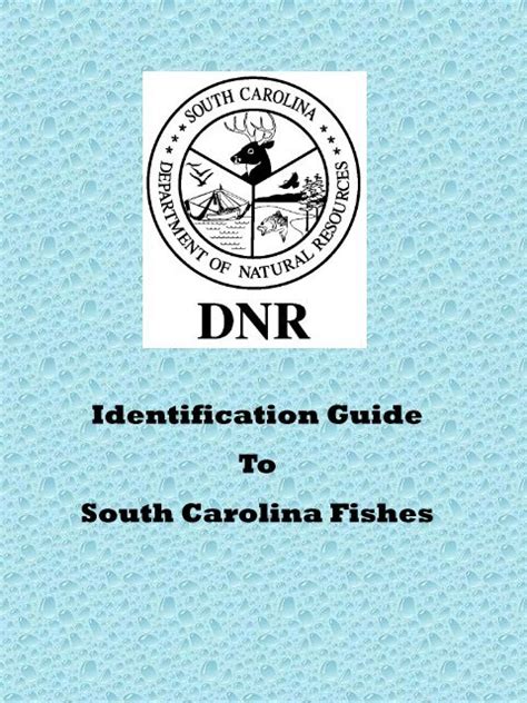 Saltwater Fish Identification Guide (PDF)