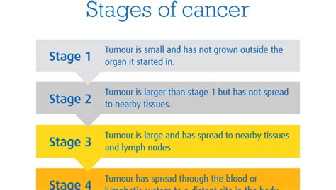Stages Of Lung Cancer Health365 - vrogue.co